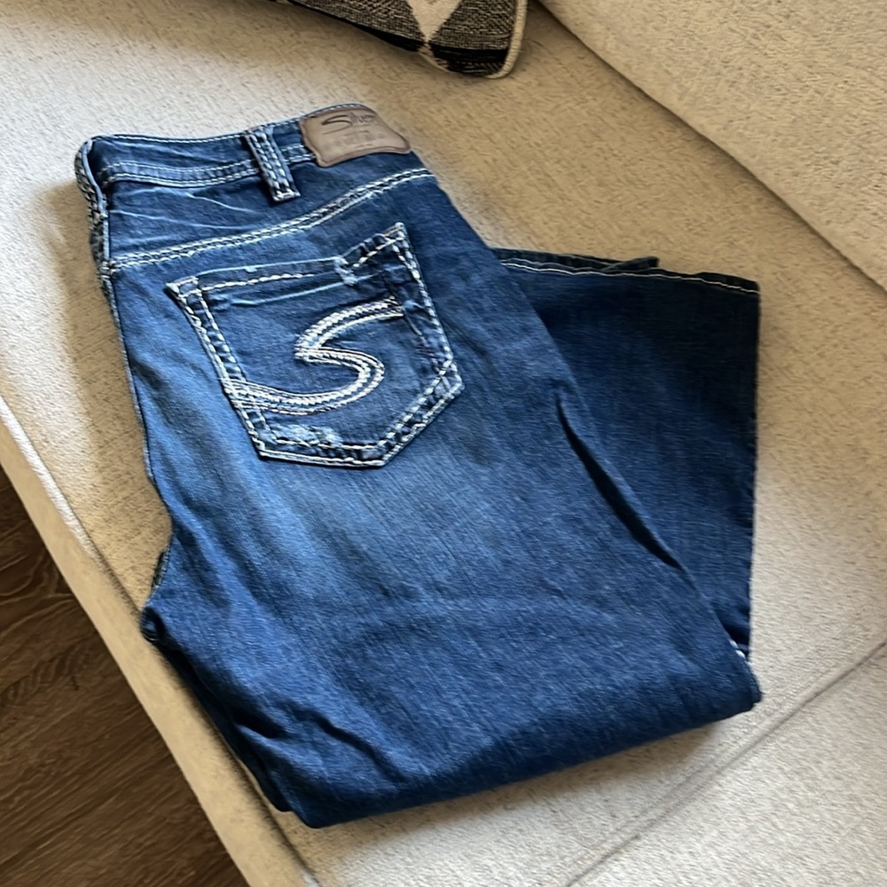 Silver Capri - image 2